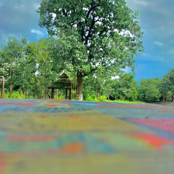 IMG_20211010_132642_925 (1)