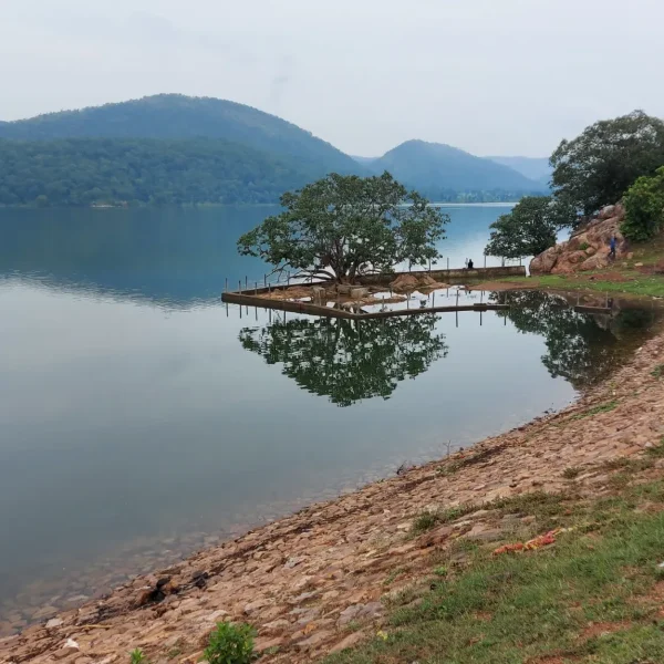 IMG_20220925_211958_047 (1)