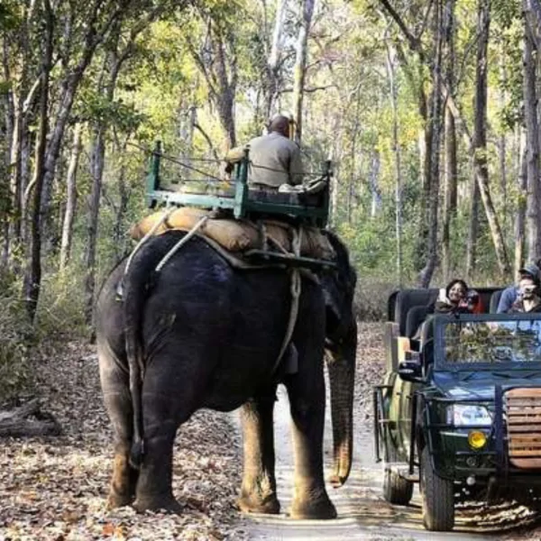 Supkhar Jangal Safari	33 Km