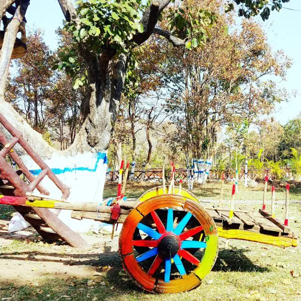 IMG_20220317_230029_867 (1)