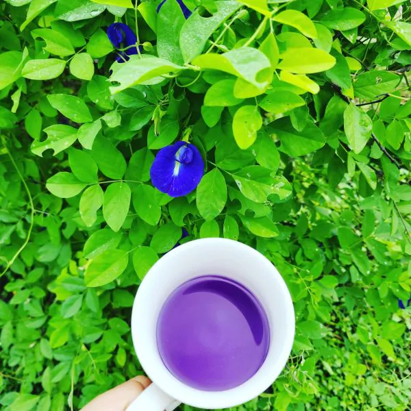 IMG_20220924_103031_990 (2)